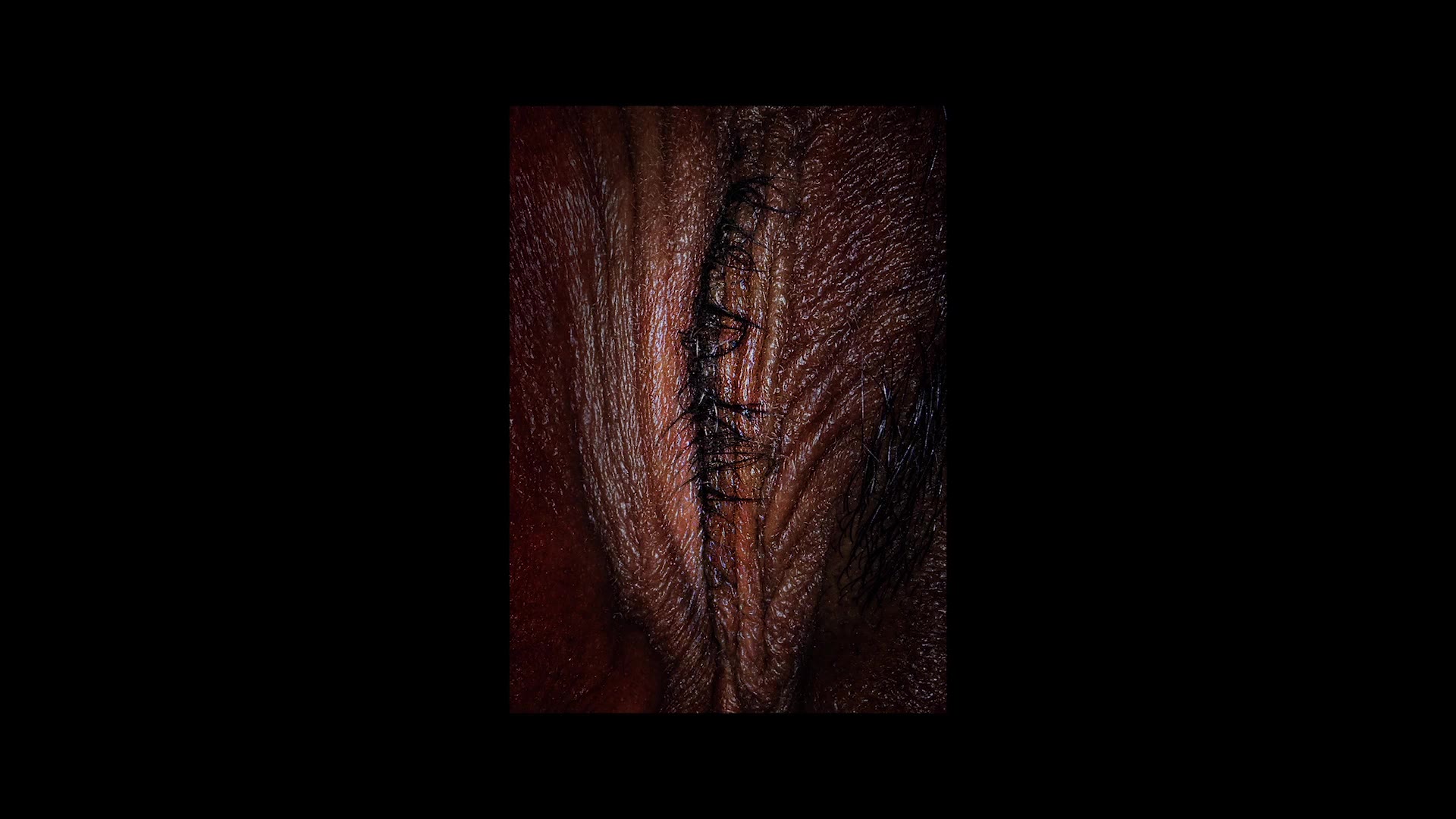 Supporting Video