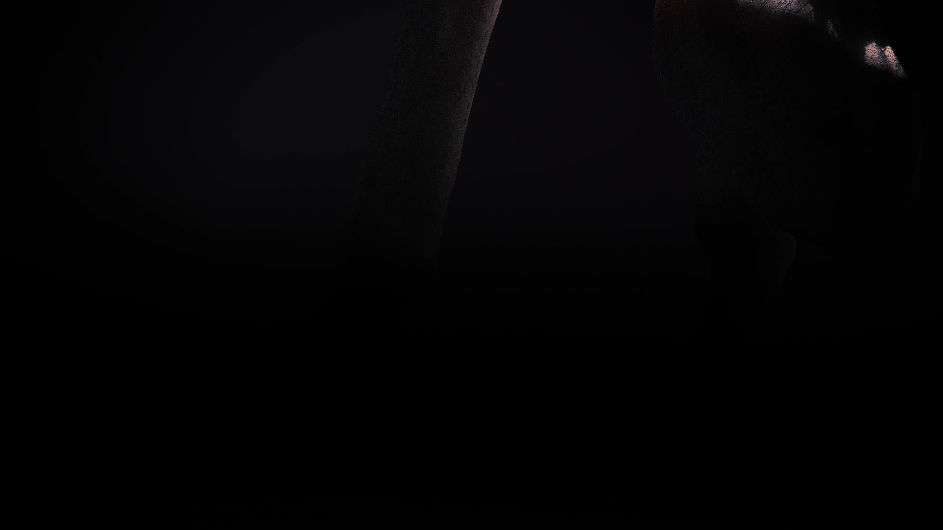 Supporting Video