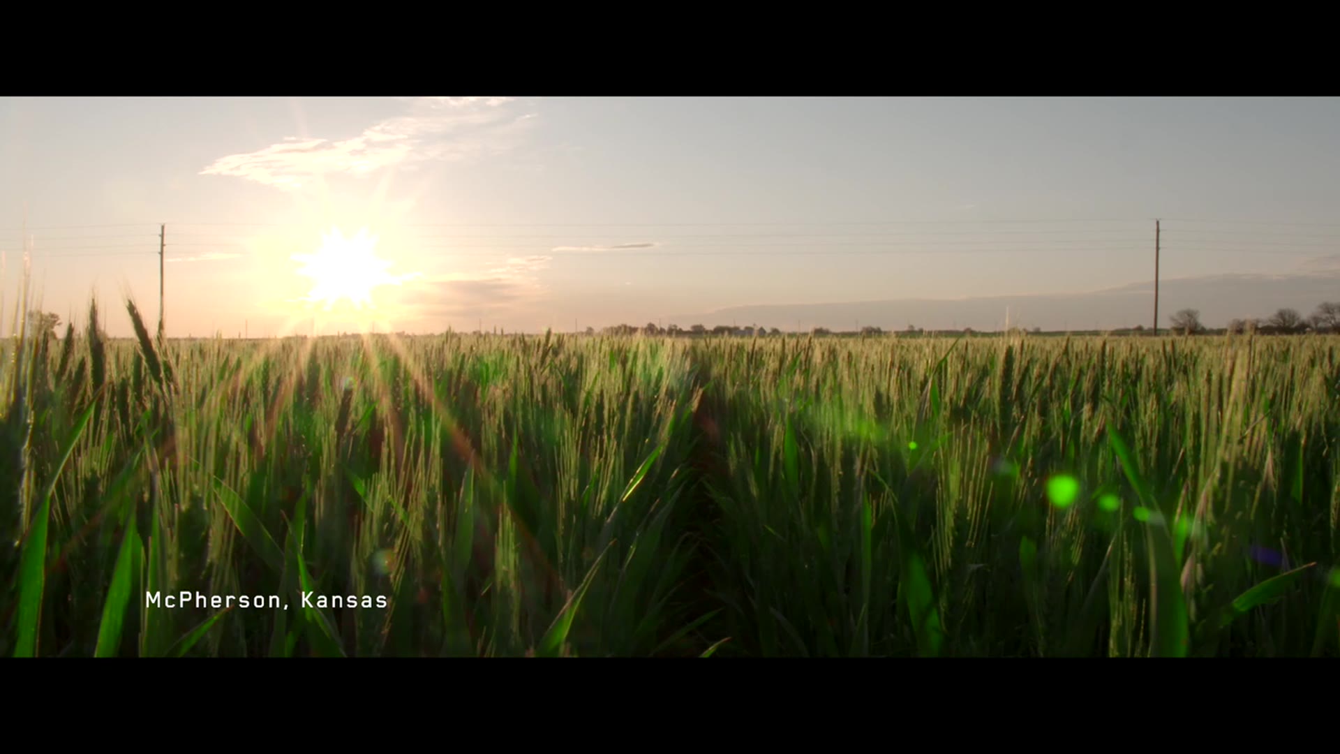 Supporting Video