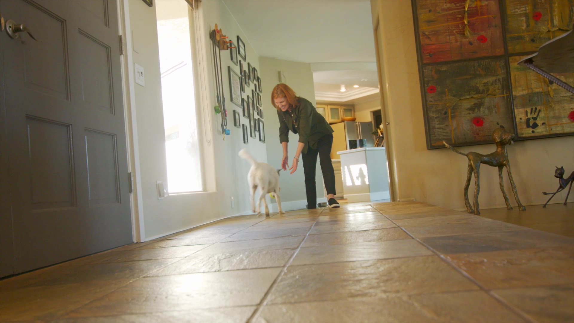 Supporting Video