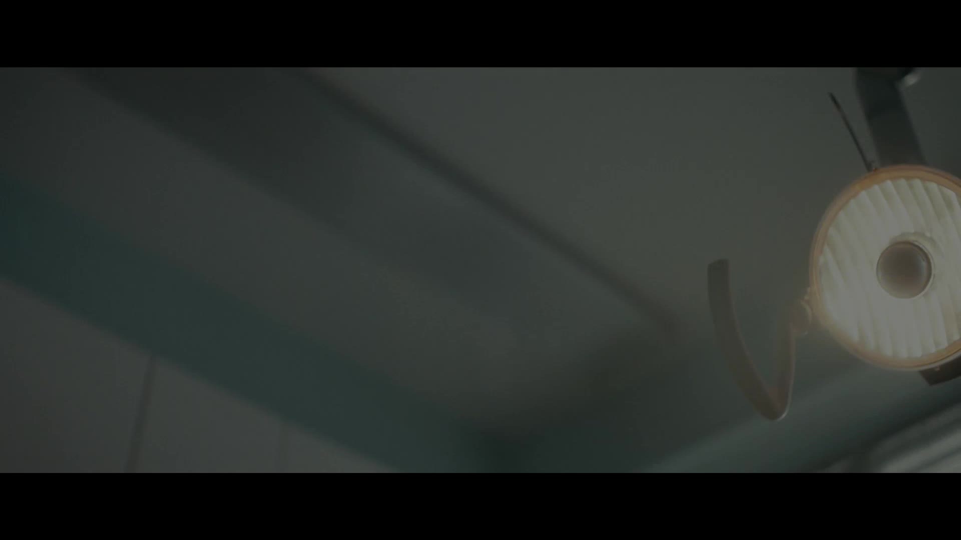 Supporting Video