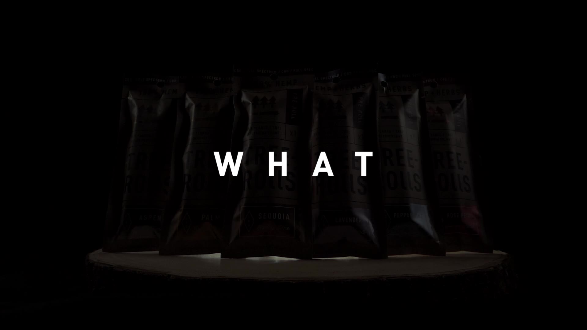 Supporting Video