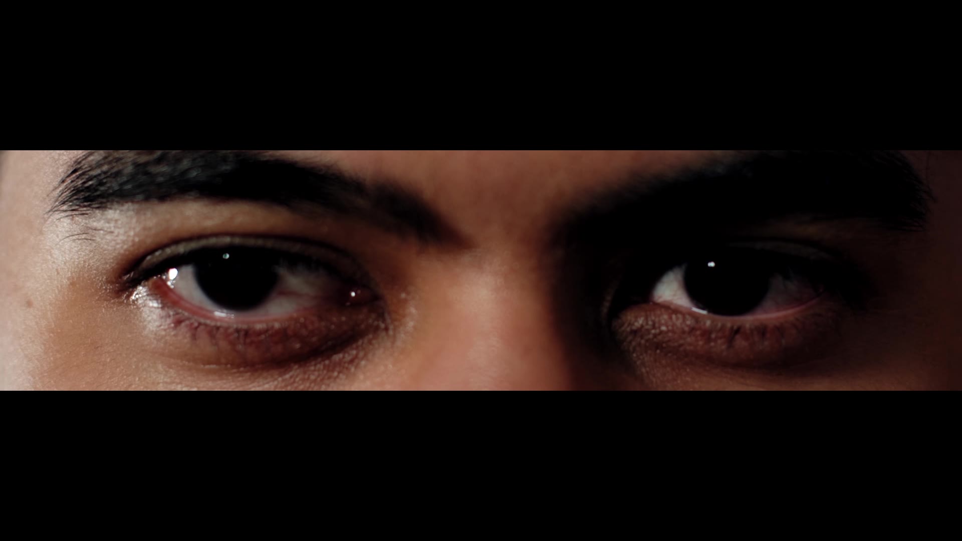 Supporting Video