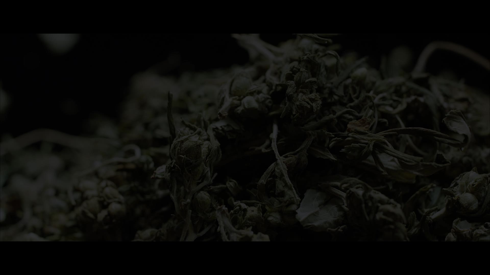 Supporting Video