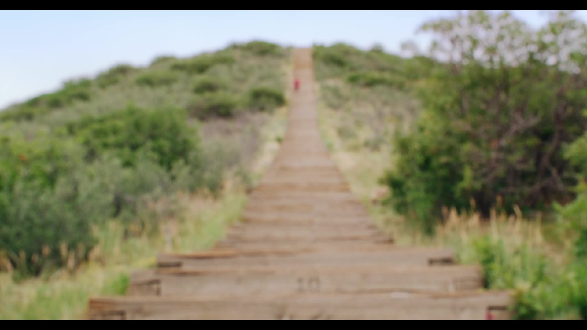 Supporting Video