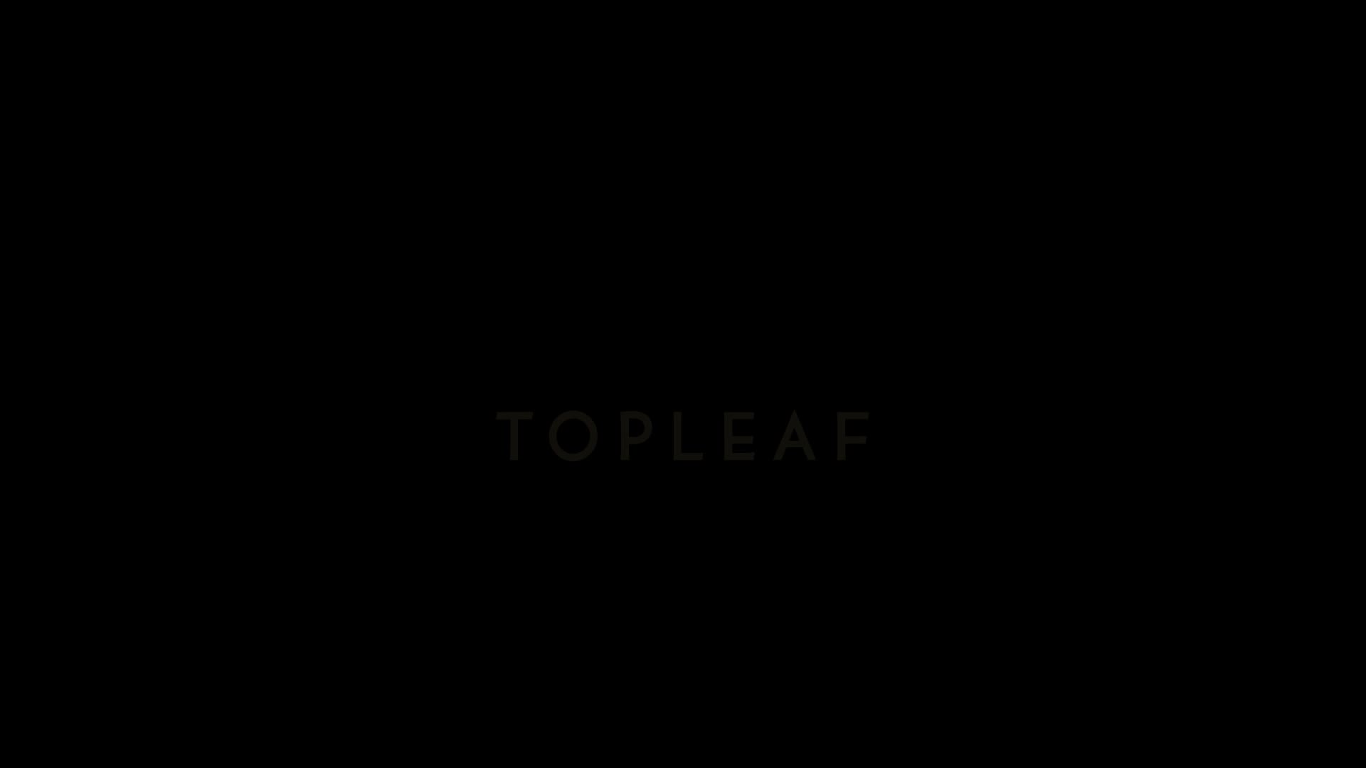Supporting Video