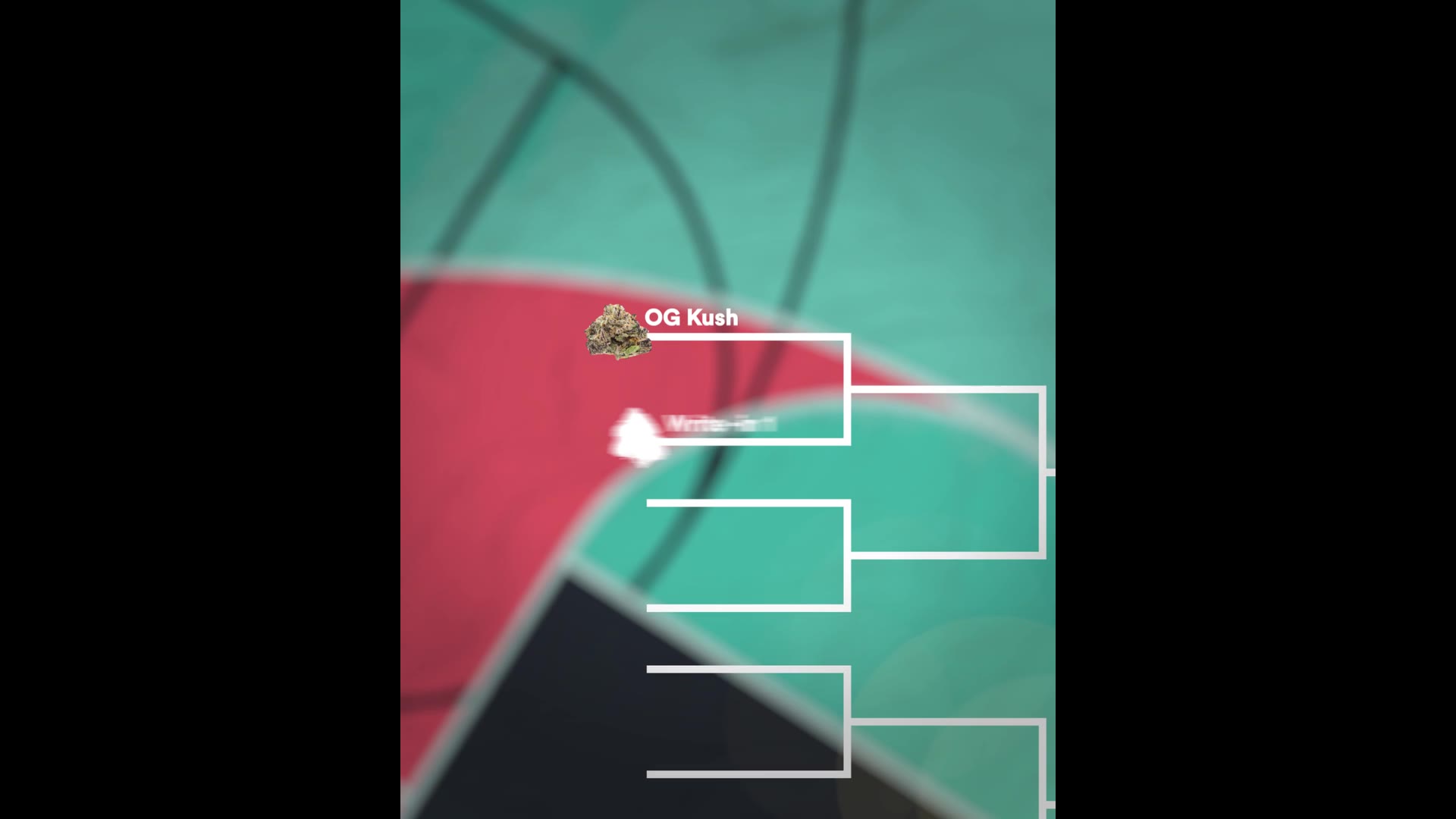 Supporting Video