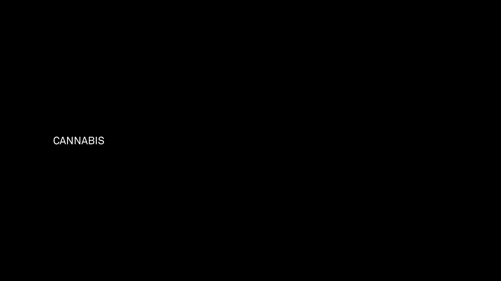 Supporting Video