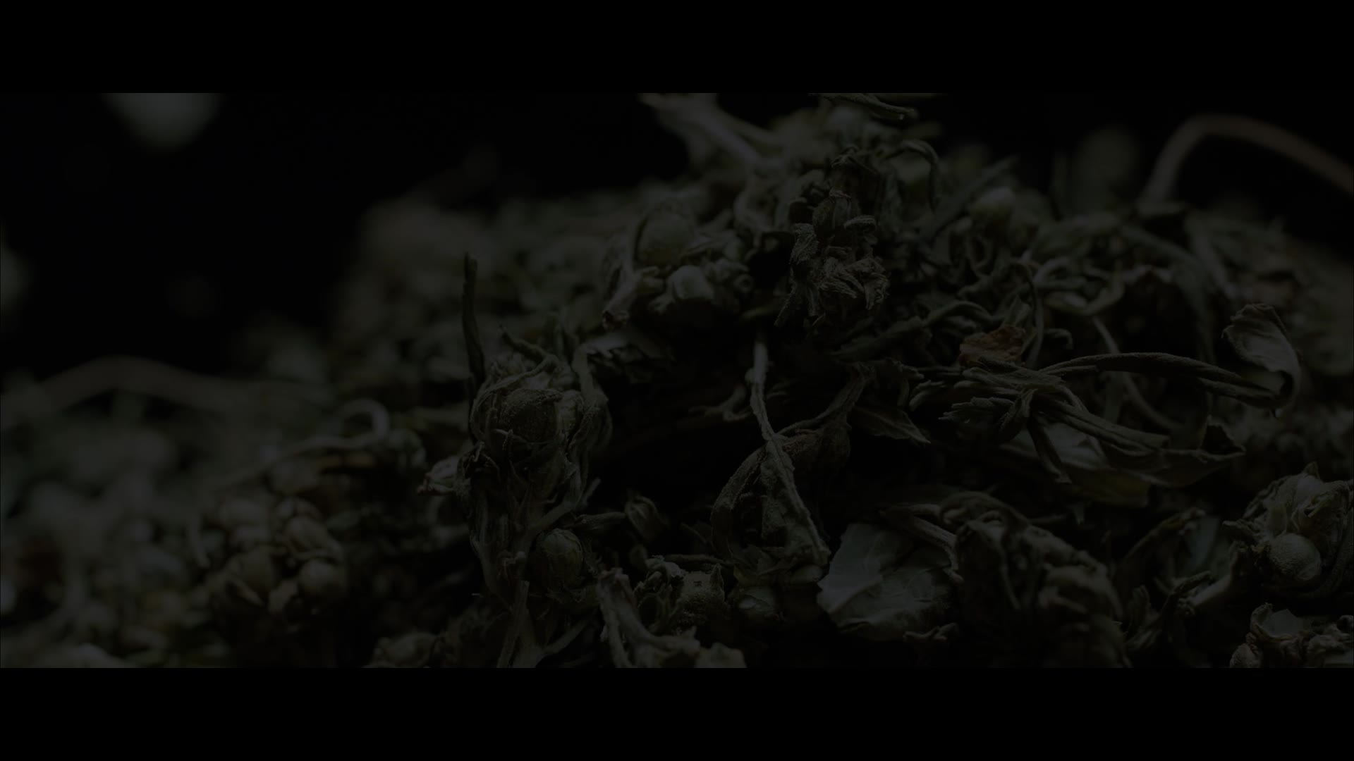 Supporting Video
