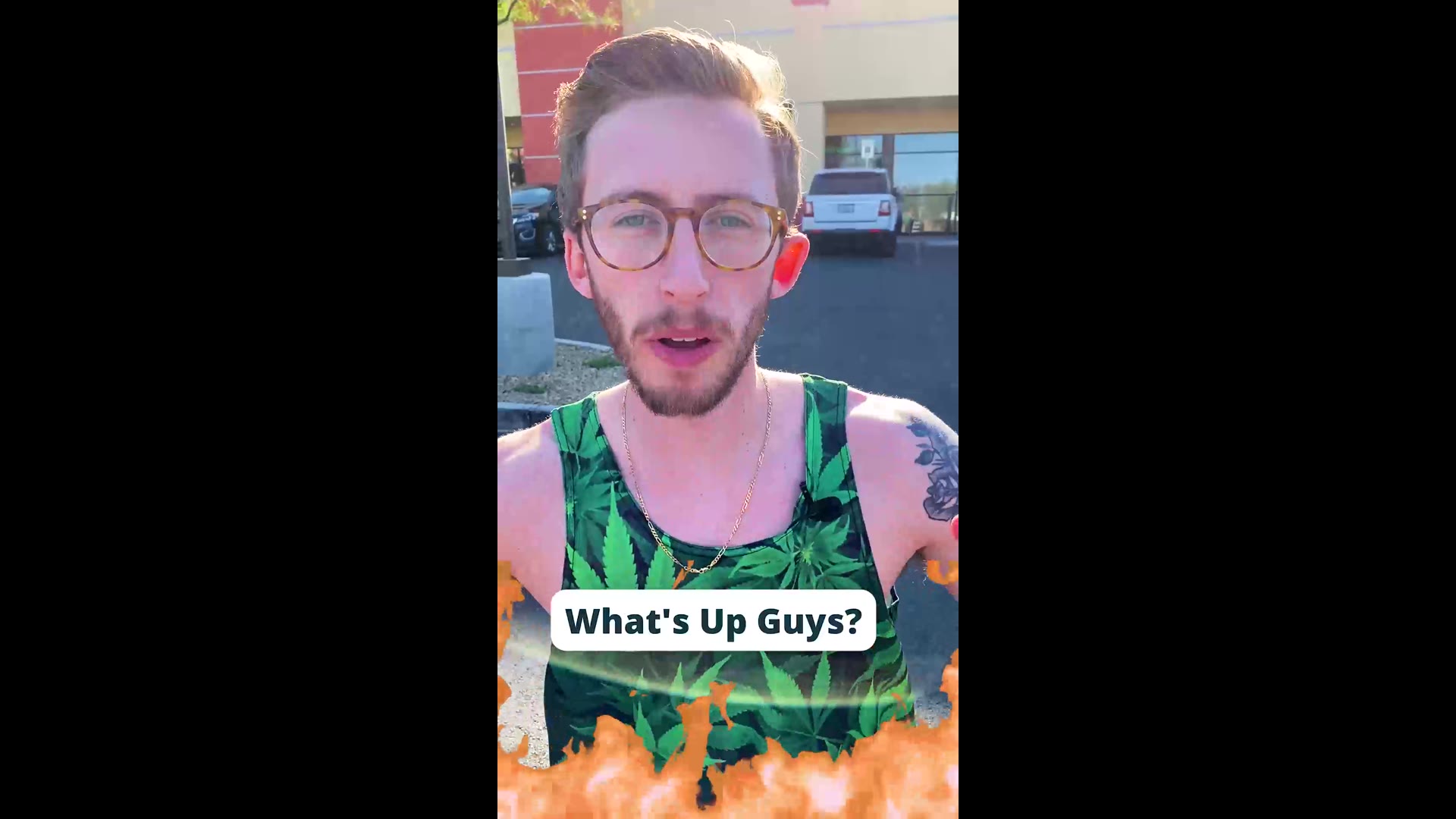 Supporting Video