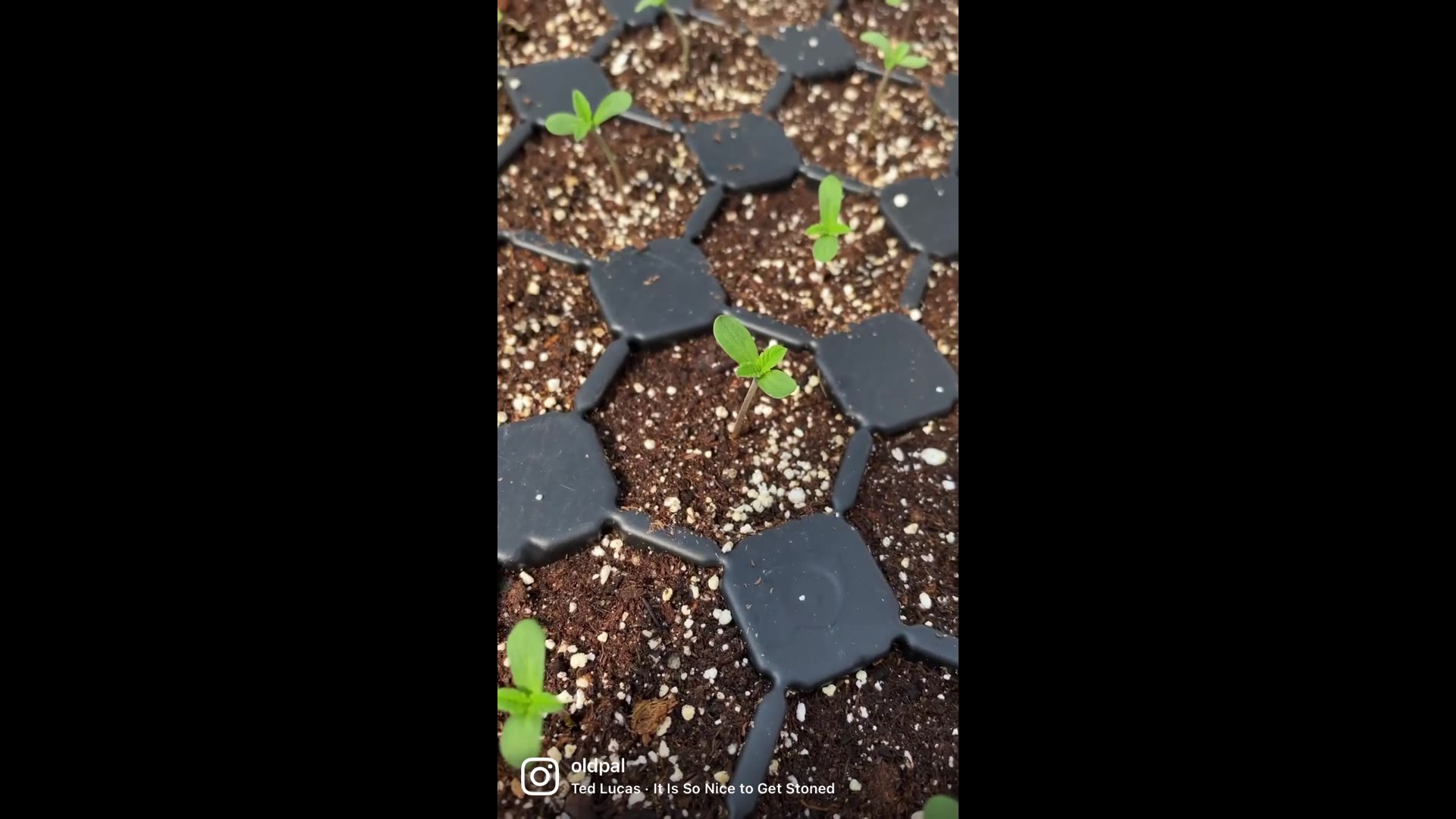 Supporting Video