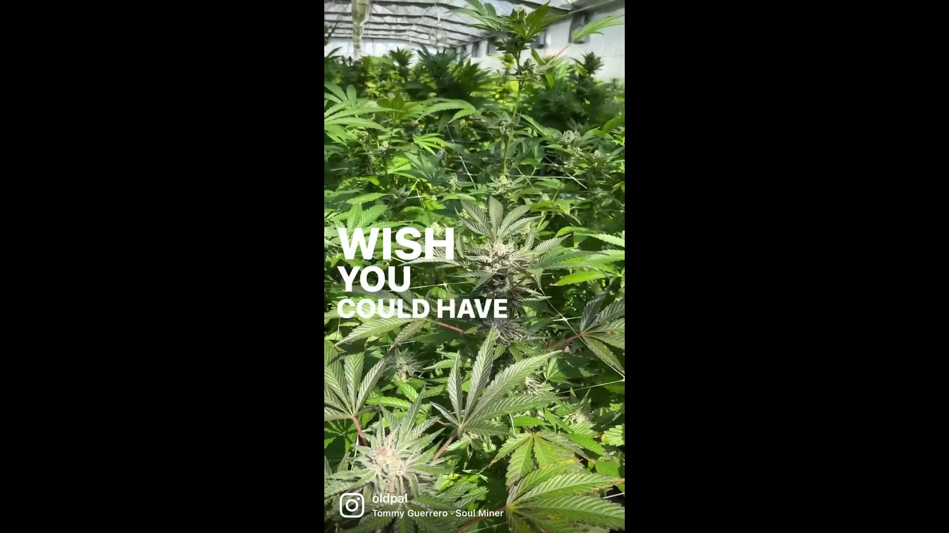 Supporting Video