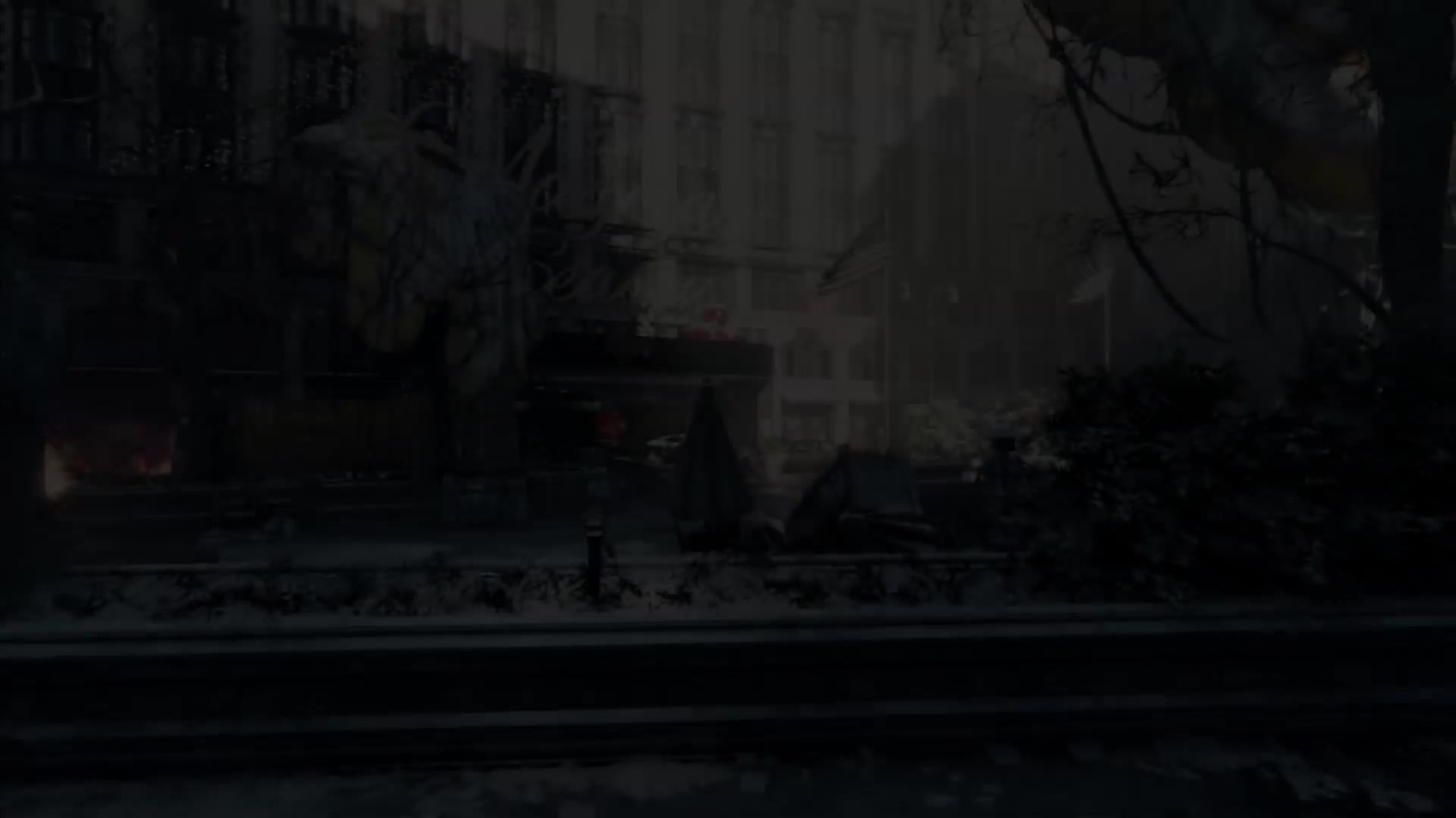 Supporting Video