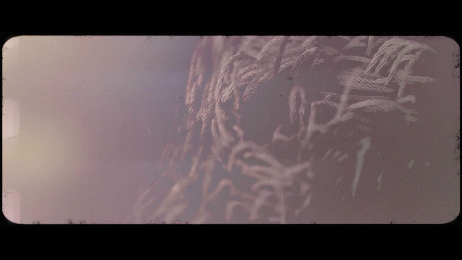 Execution Video
