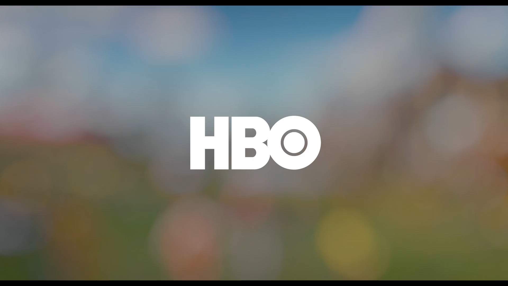 Execution Video