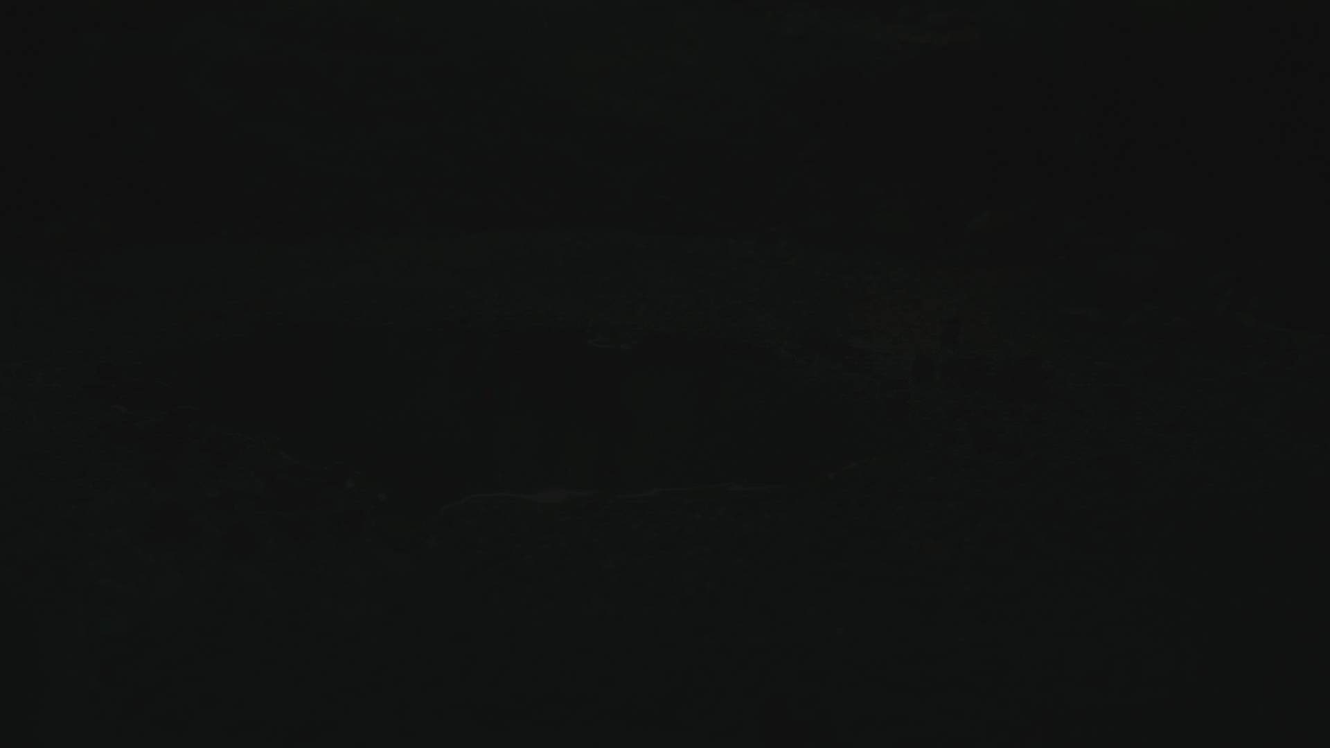 Execution Video