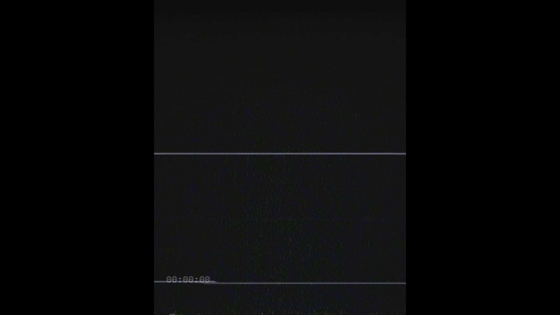 Execution Video