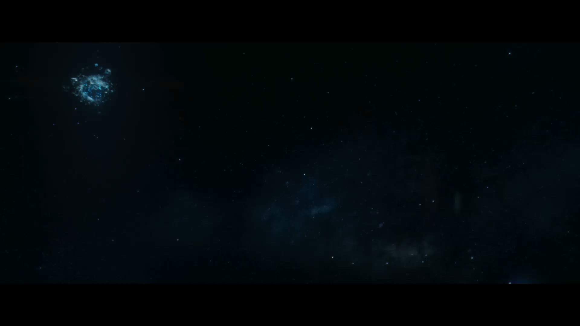 Execution Video