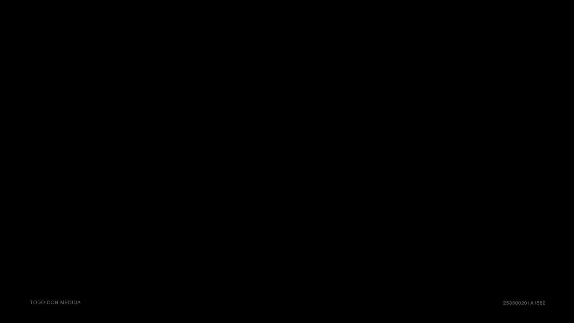 Execution Video