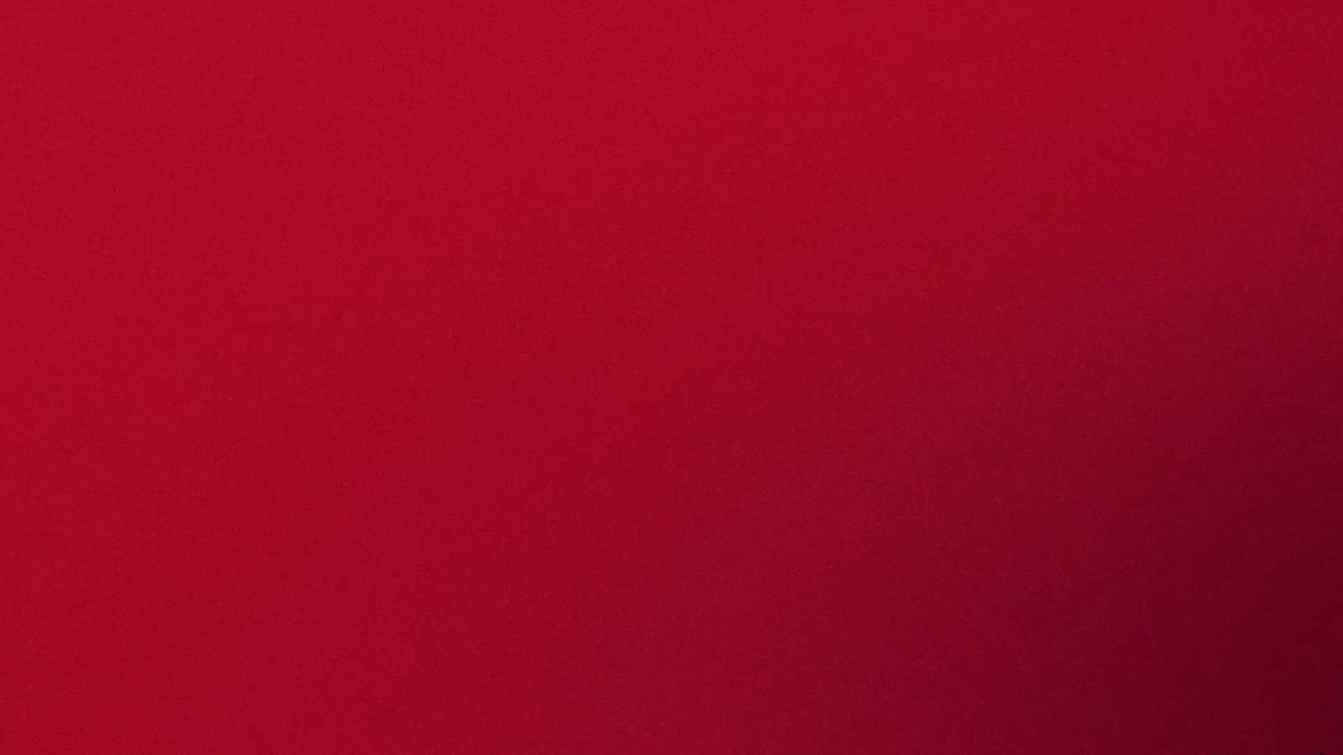 Case Study Video