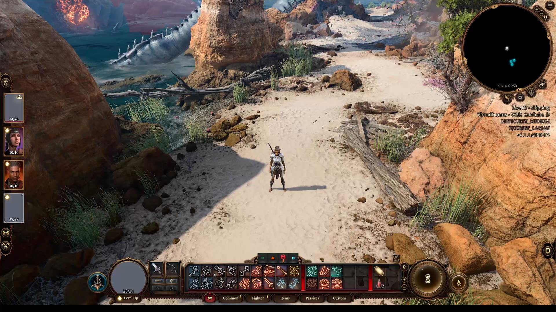 Execution Video