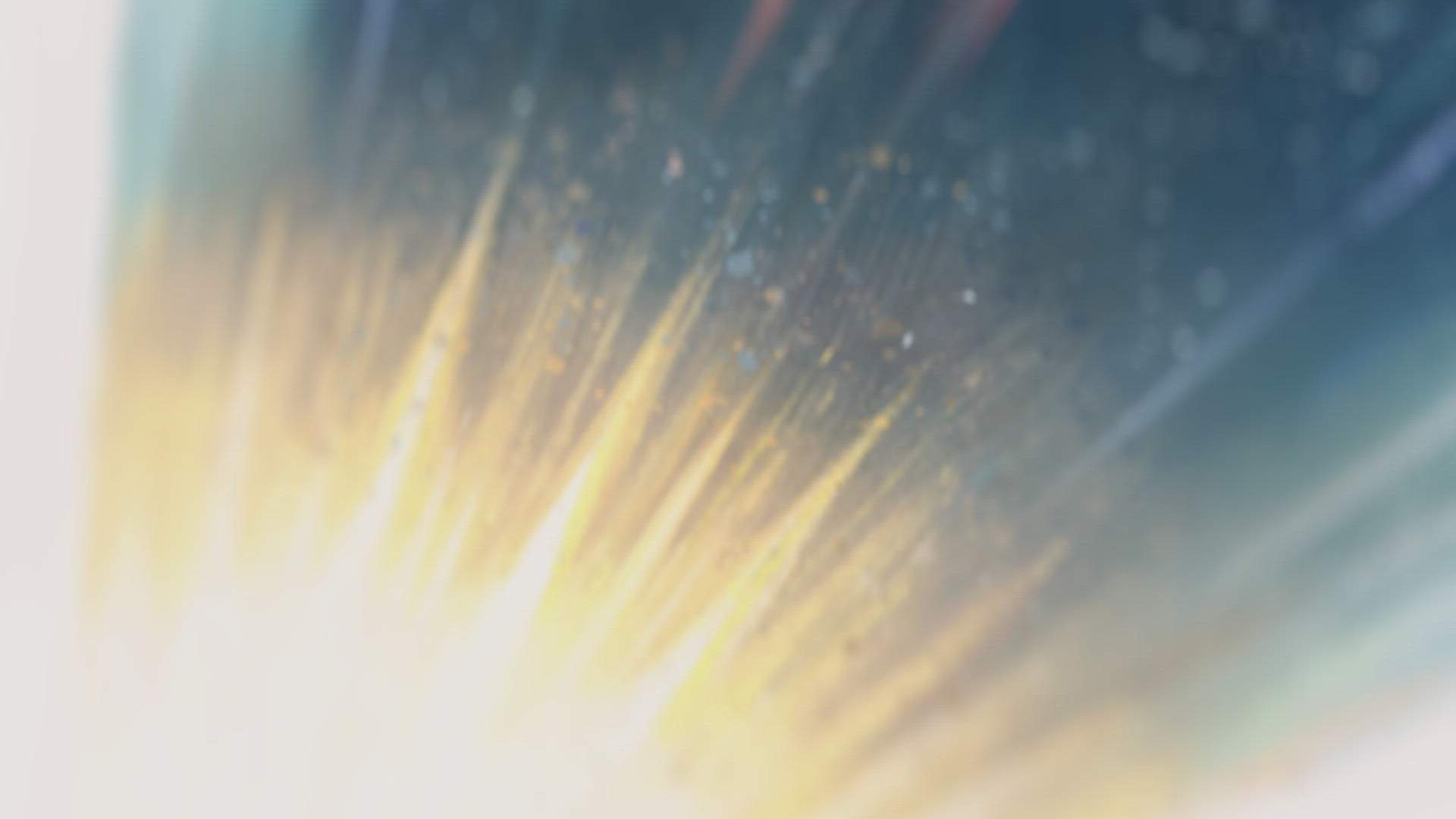 Case Study Video