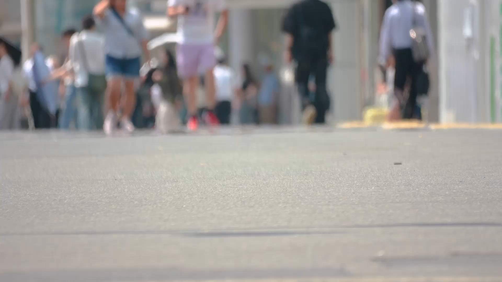 Case Study Video