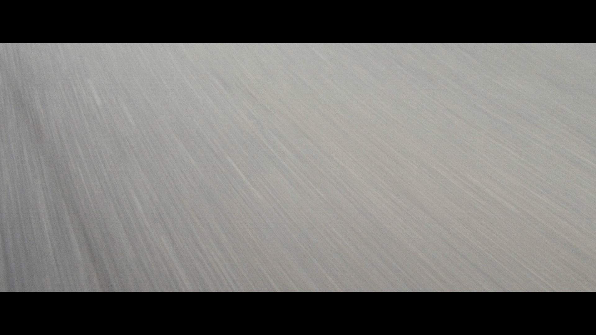 Execution Video