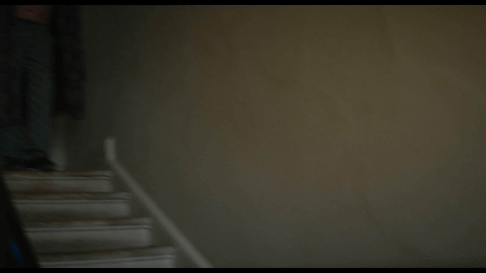 Execution Video
