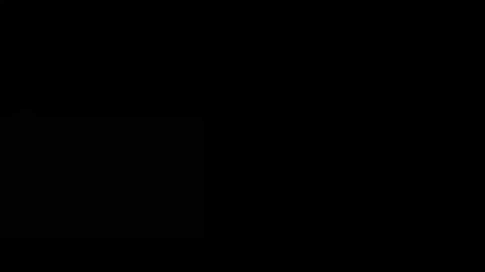 Execution Video