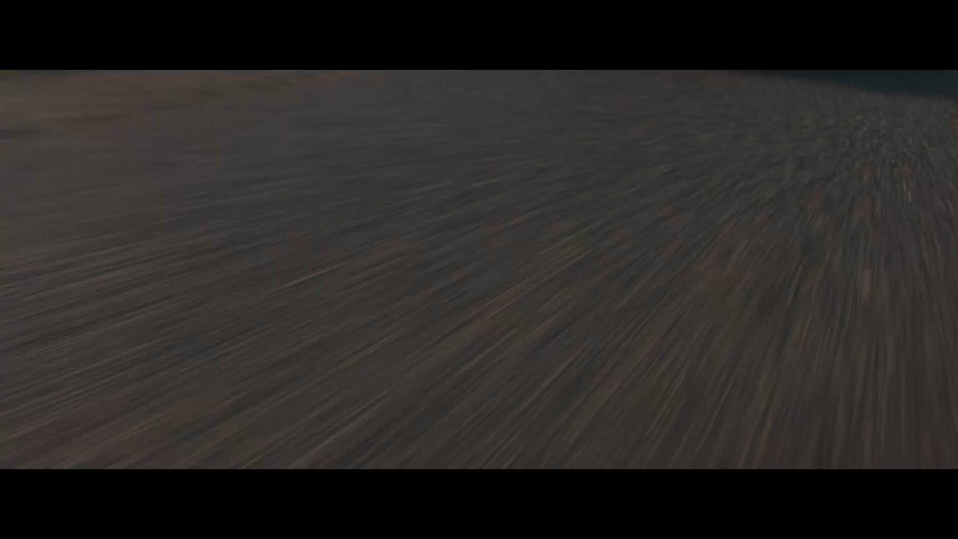 Execution Video