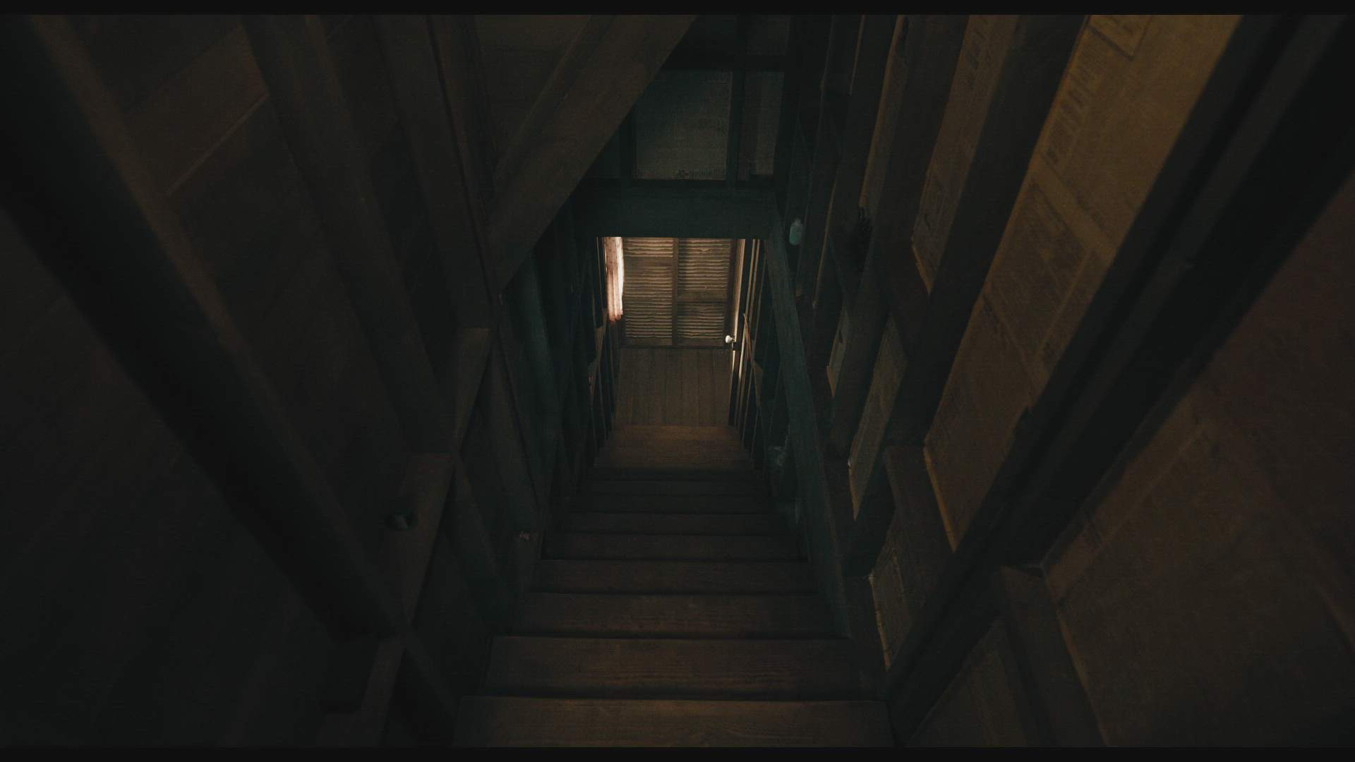Execution Video