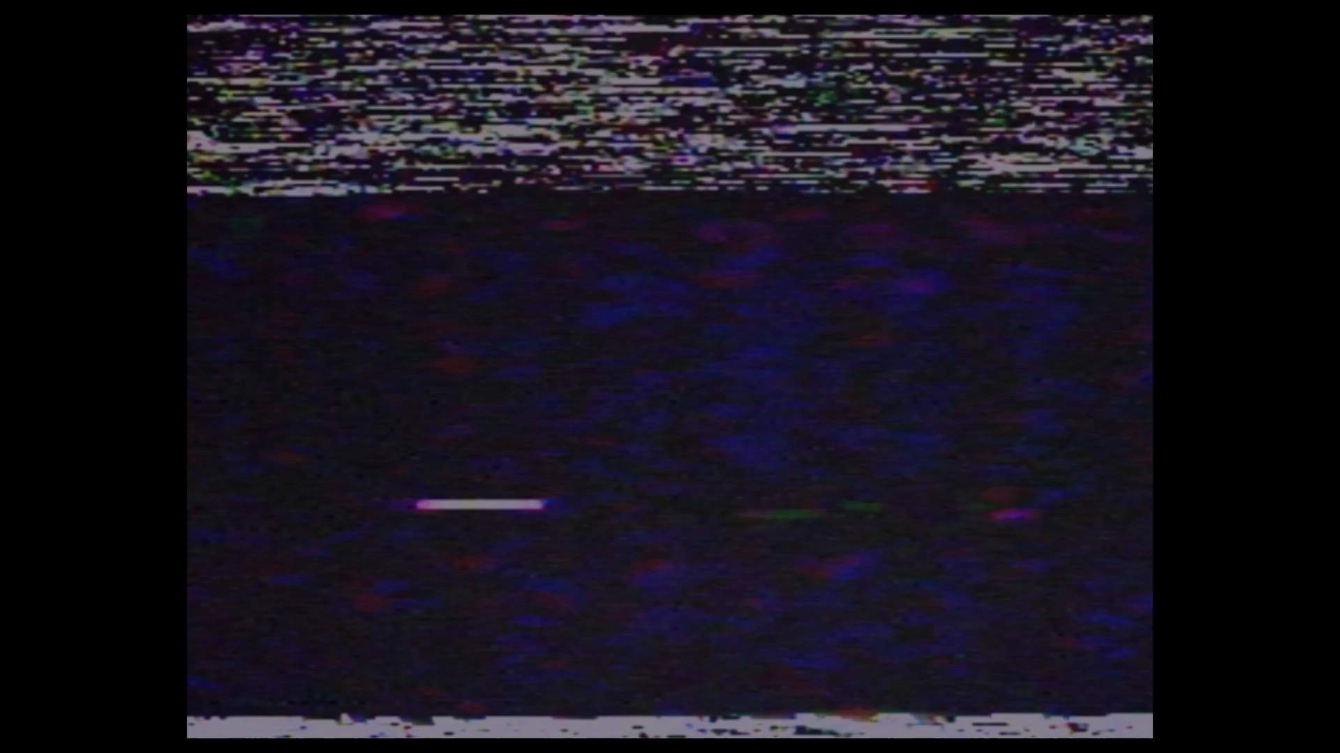 Execution Video