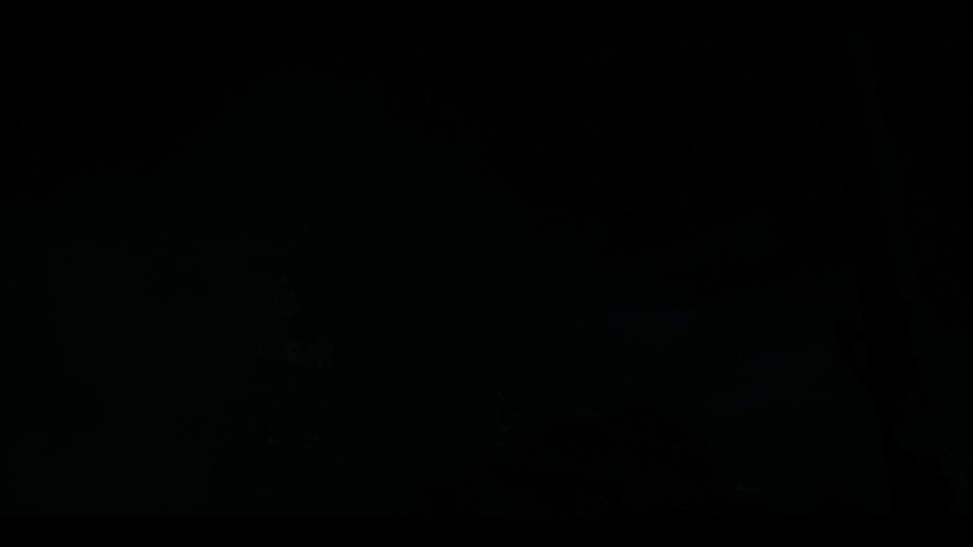 Execution Video