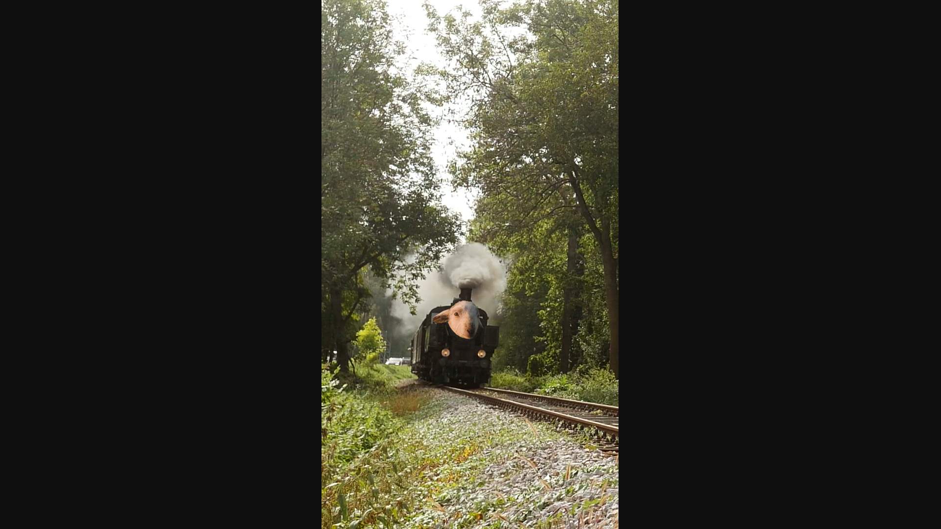 Execution Video