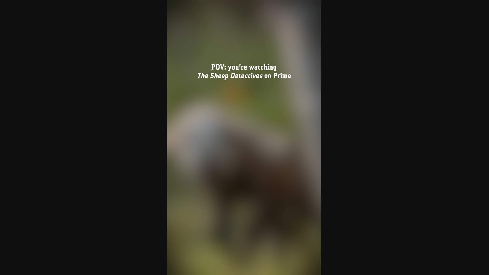 Execution Video