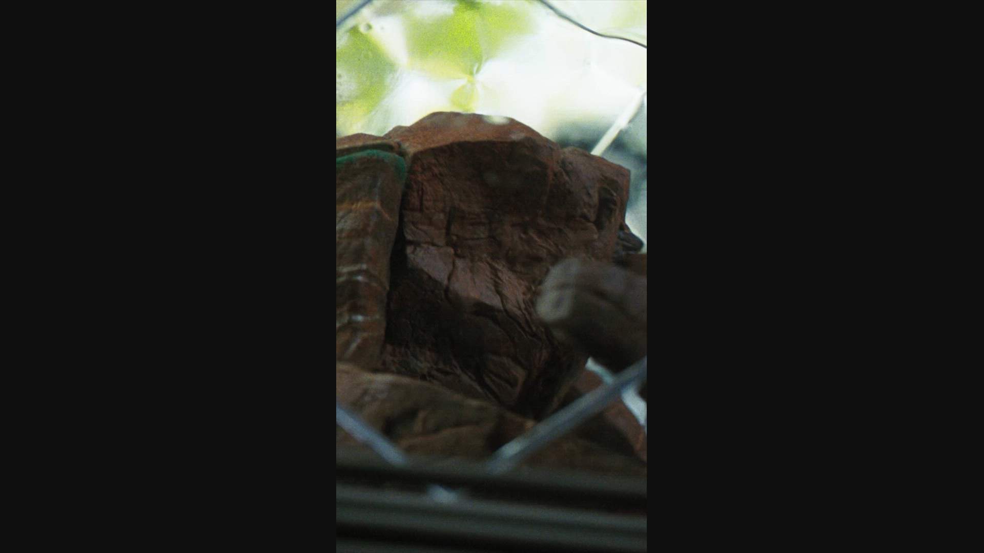 Execution Video