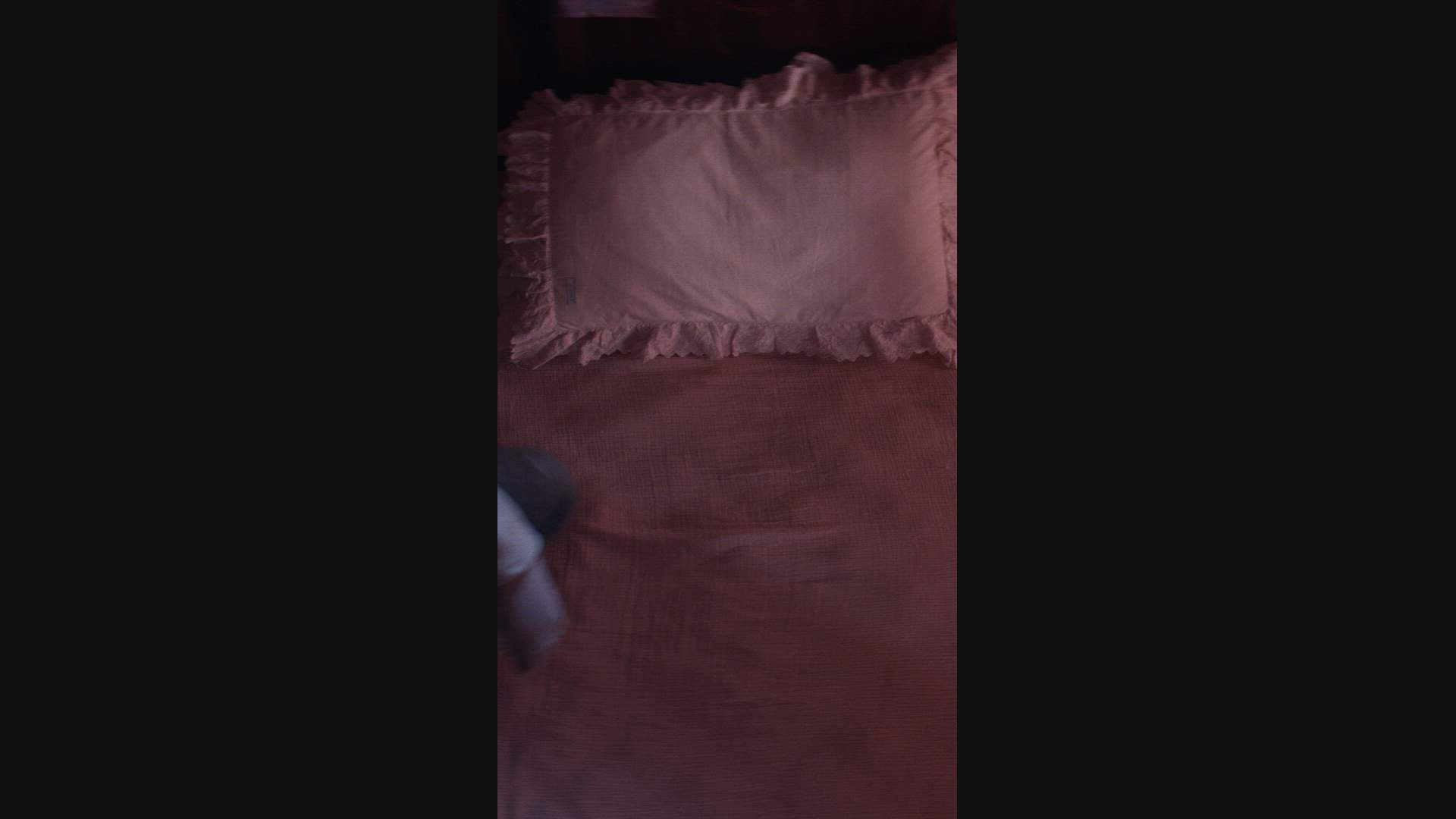 Execution Video