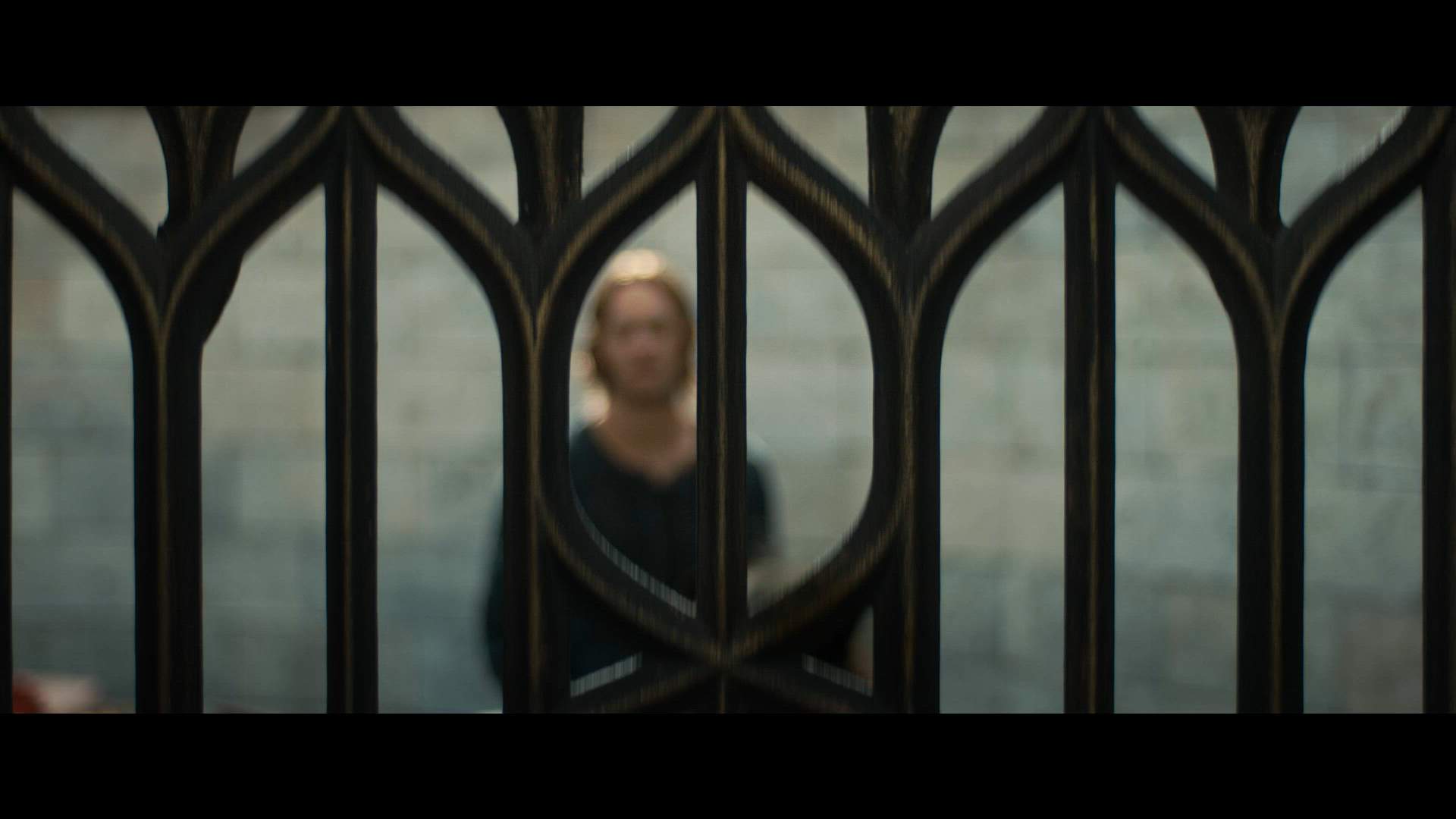 Execution Video
