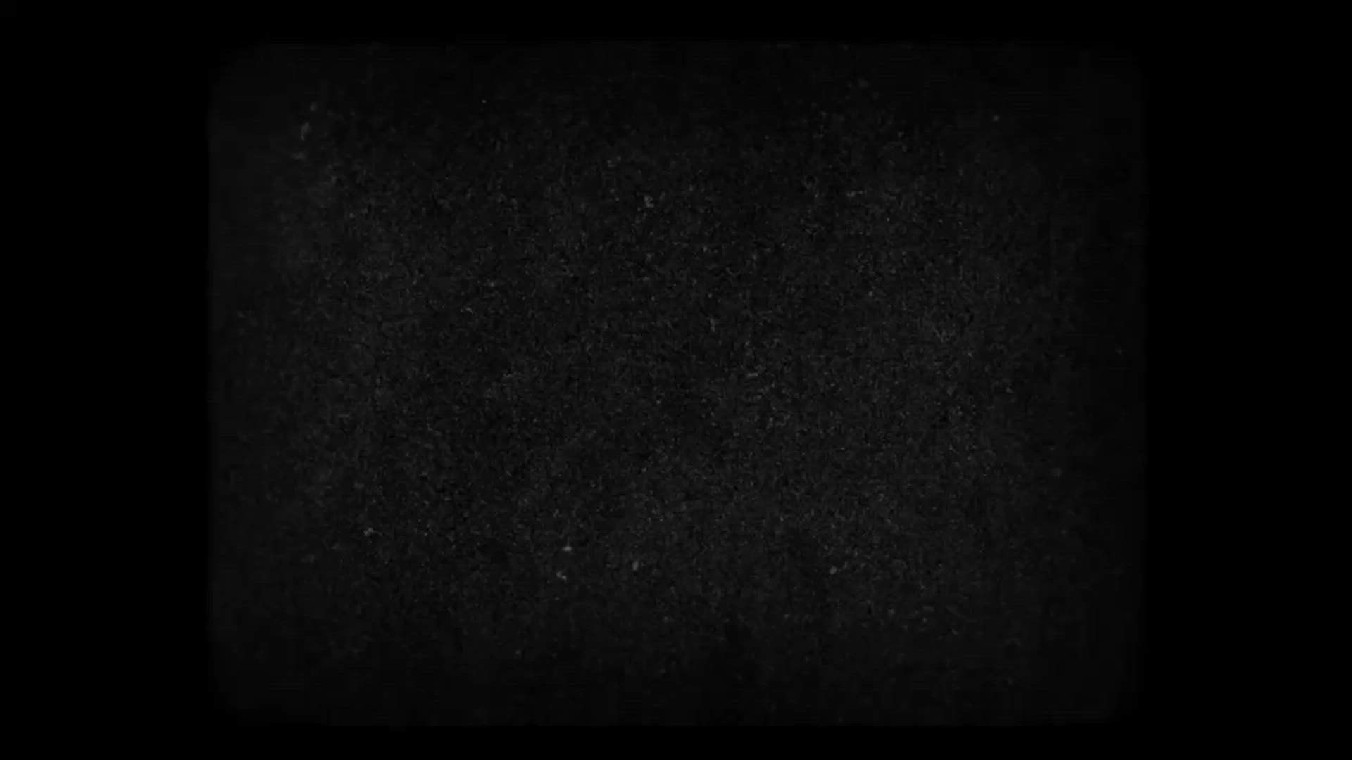 Execution Video