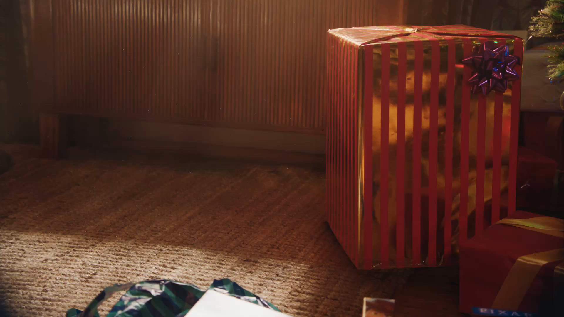 Case Study Video