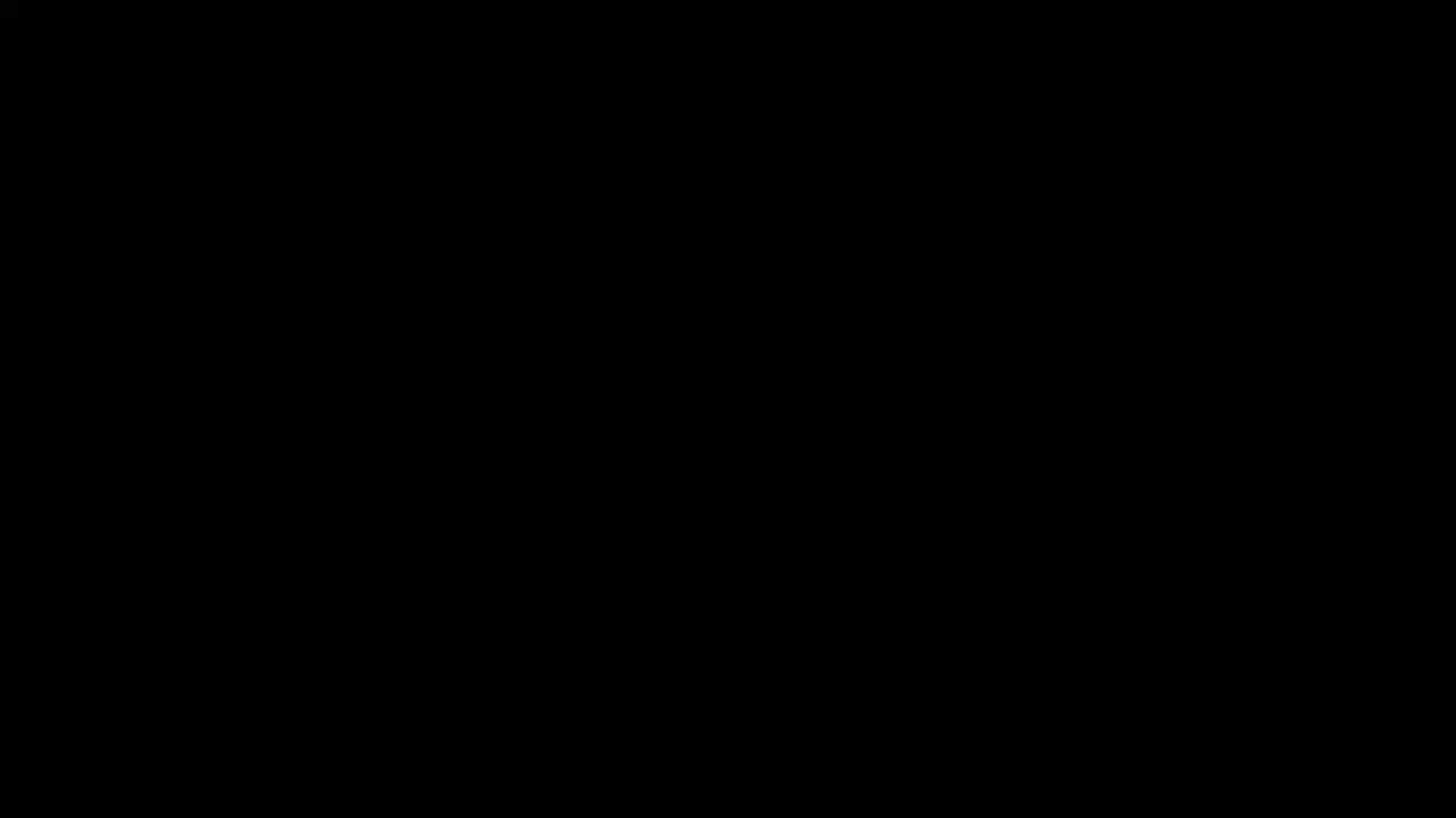 Execution Video