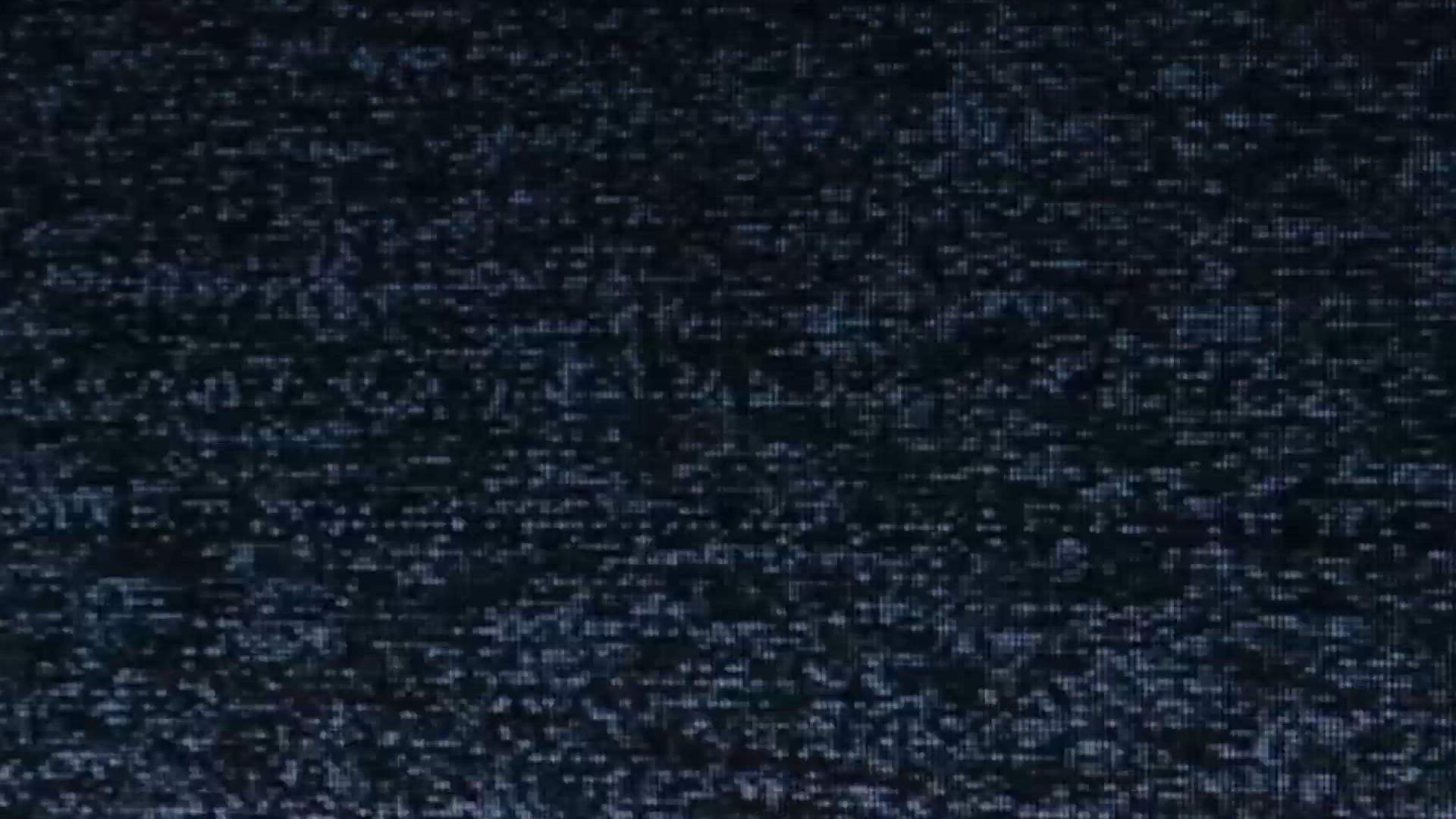 Execution Video