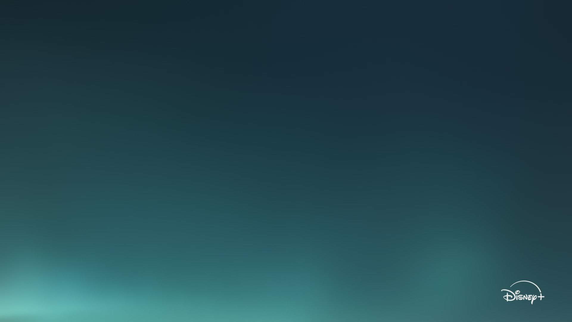 Execution Video