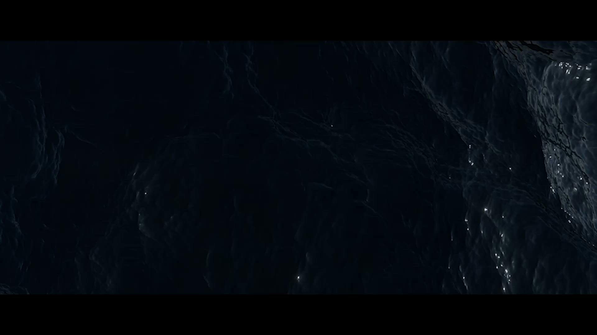 Execution Video