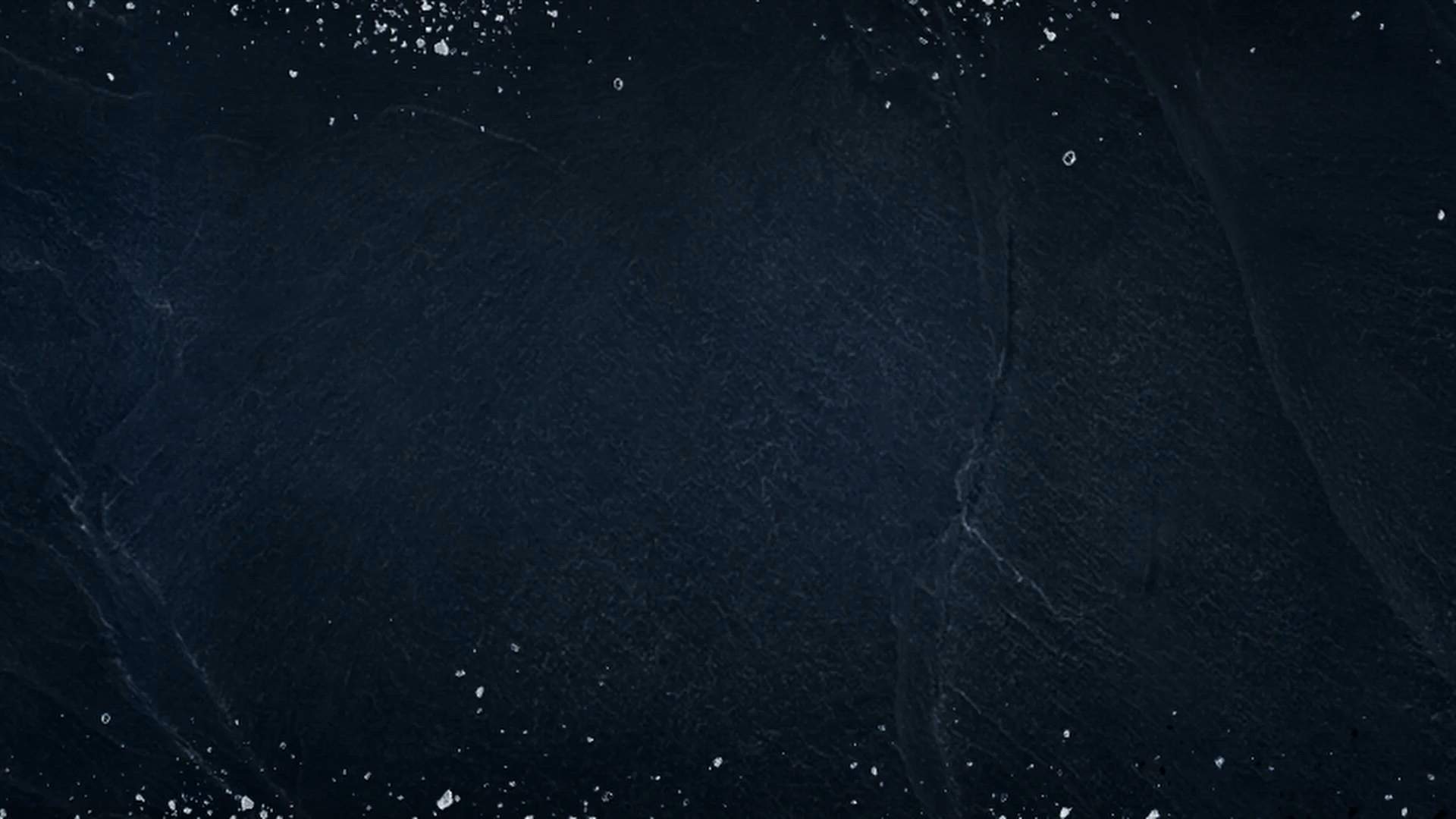 Execution Video