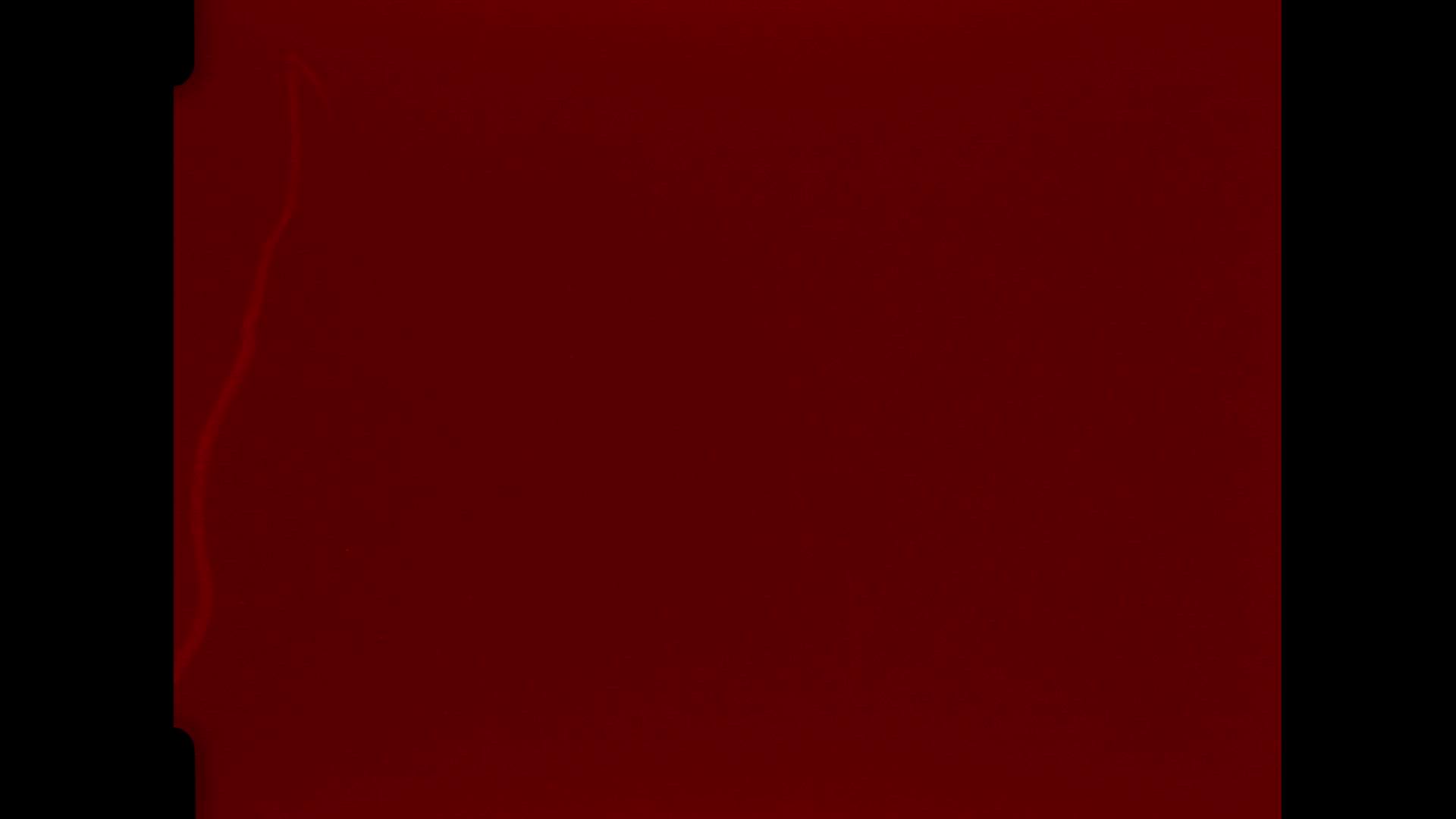 Execution Video