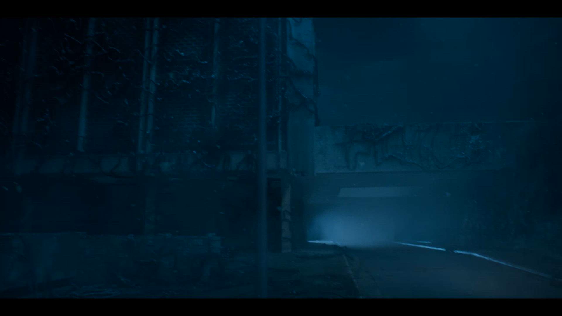 Execution Video