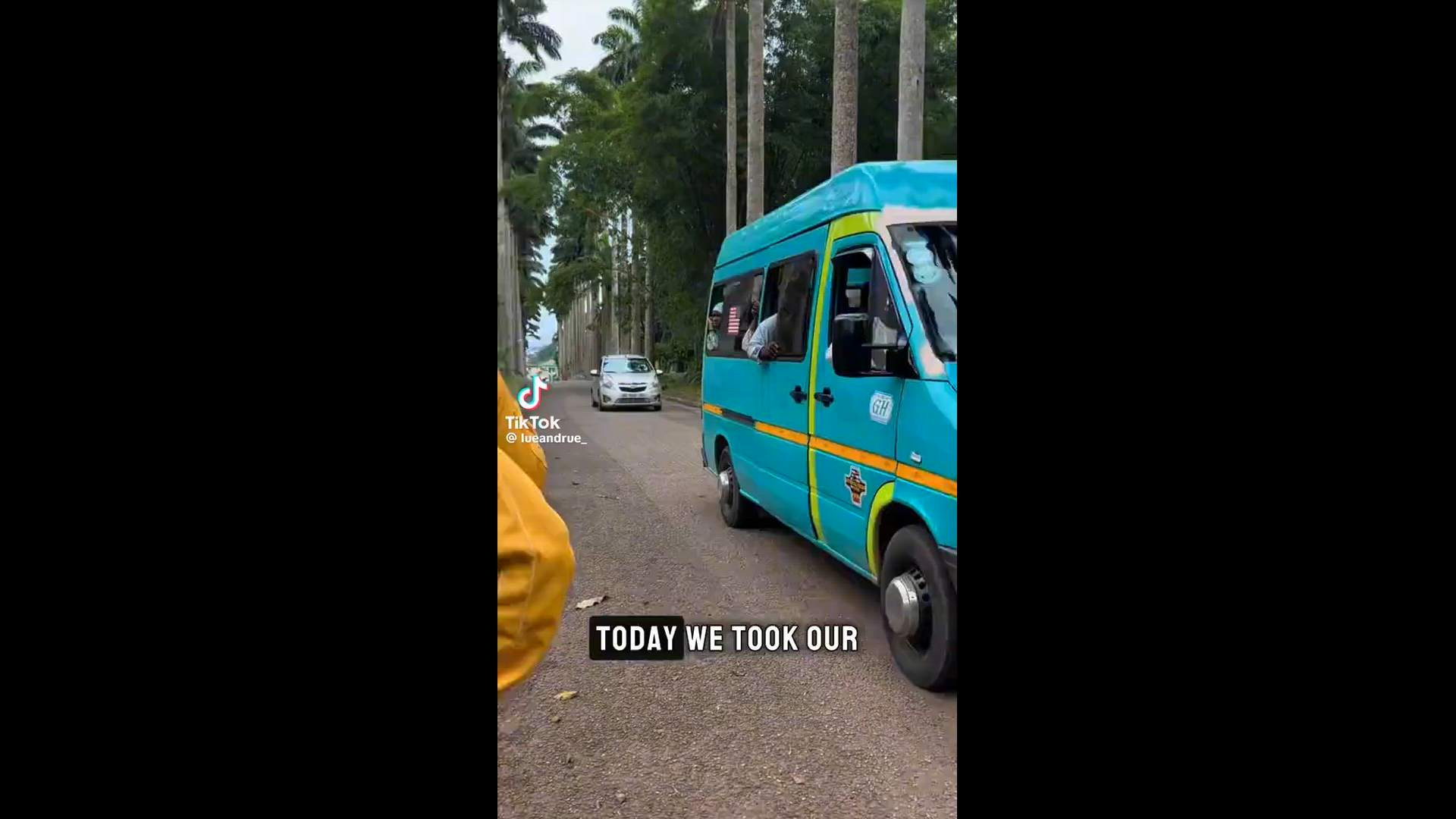 Execution Video