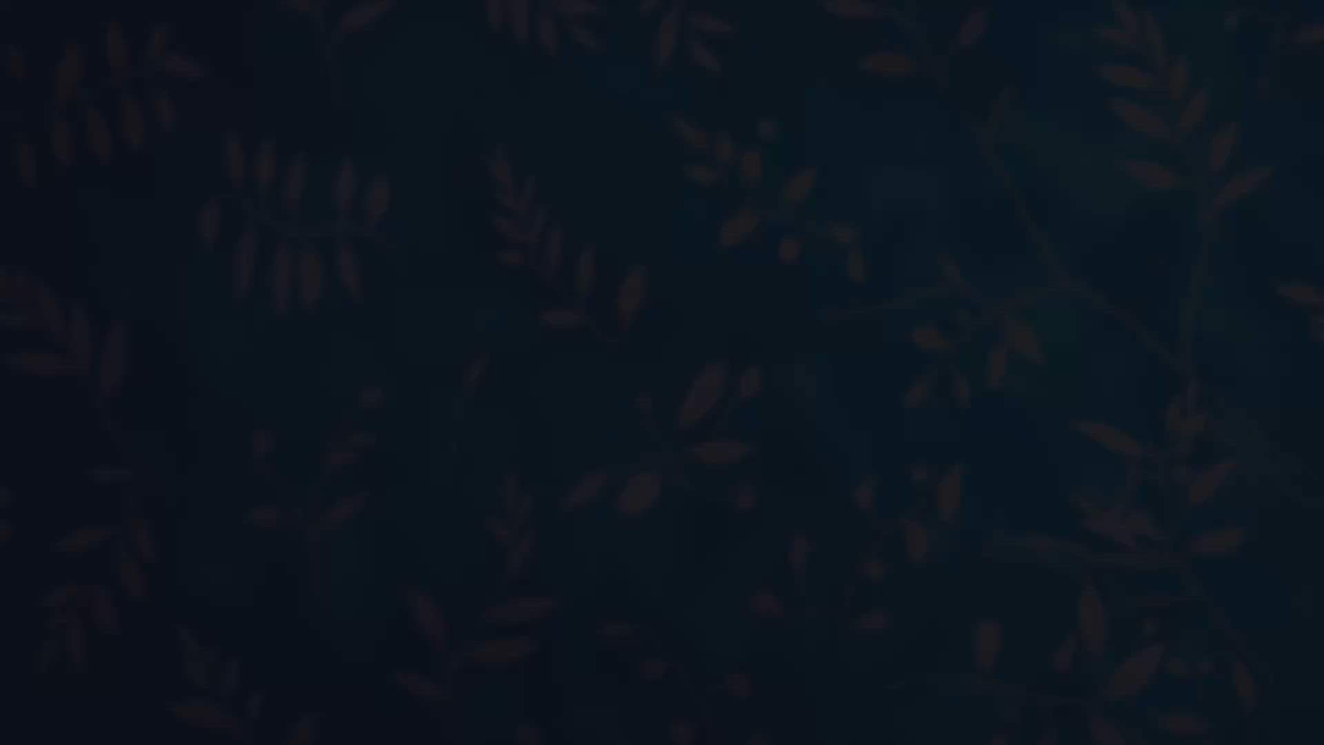 Execution Video